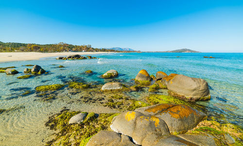 Scenic view of sea against clear blue sky