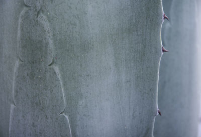 Low section of man on bird