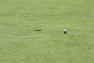 Ball on golf course in sunny day