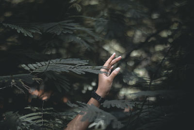 Midsection of person with leaves in sunlight