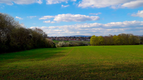 Scenic view of field against sky