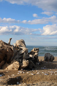 Rocks on beach against sky