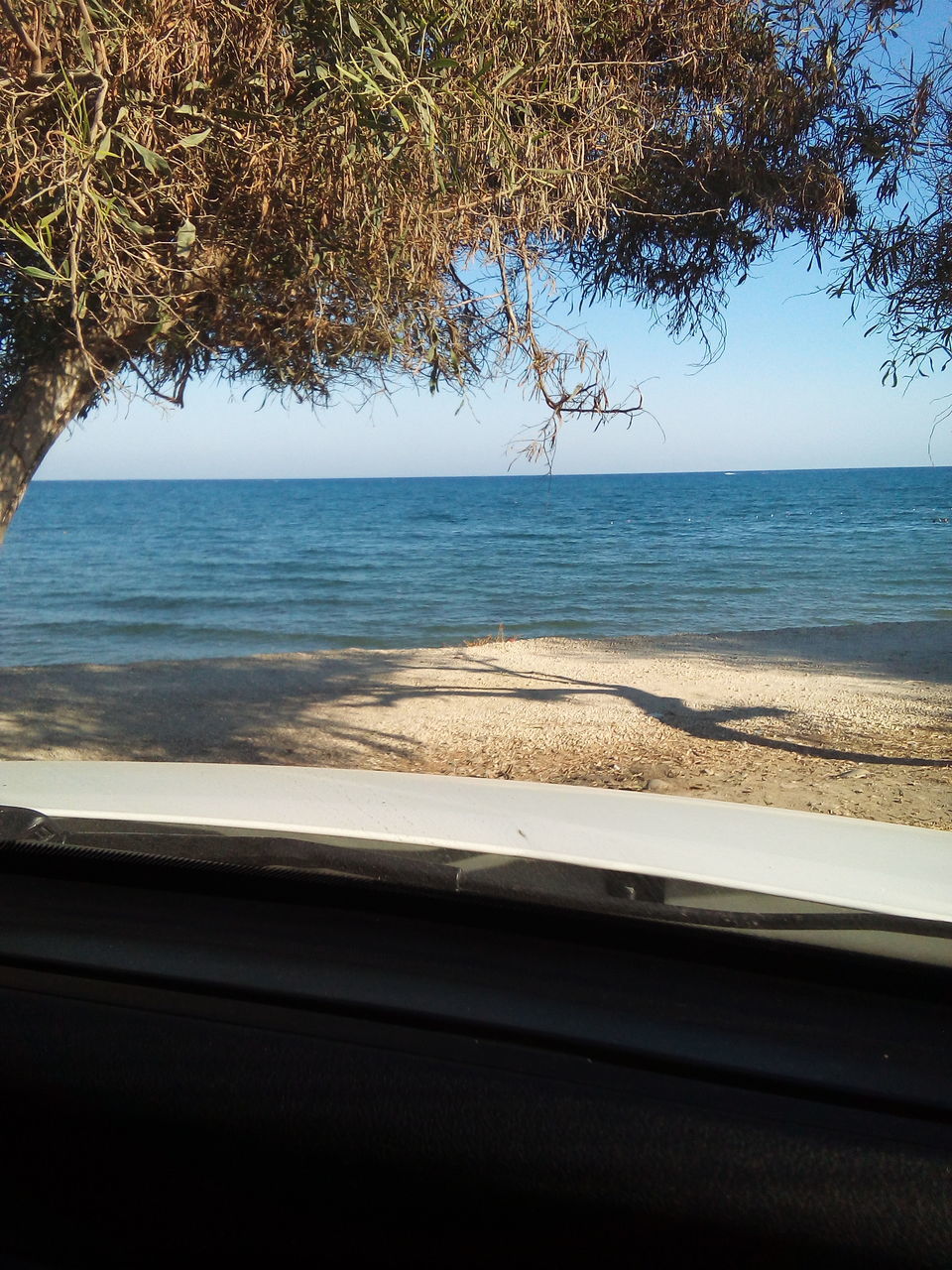 sea, horizon over water, water, tree, scenics, tranquil scene, beach, beauty in nature, idyllic, tranquility, tree trunk, nature, calm, remote, day, outdoors, seascape, sky, non-urban scene, shore, majestic, tourism, vacations, no people, coastline, journey