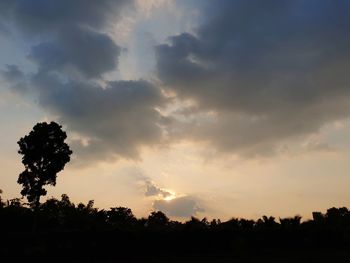 Silhouette trees on field against sky at sunset