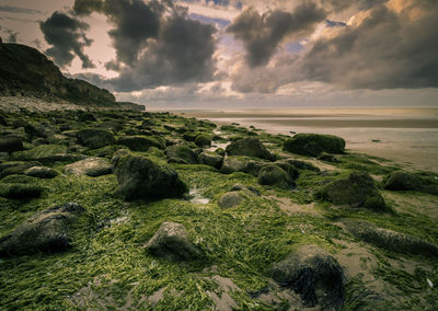 Scenic view of rocks on beach against sky