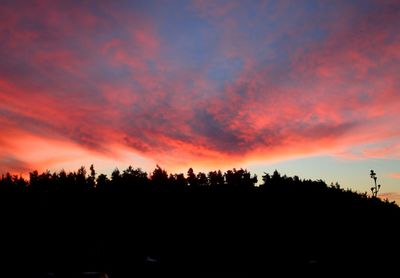 Silhouette of trees against dramatic sky