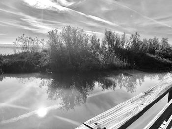 Reflection of trees in lake against sky