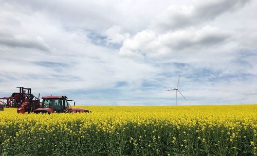 View of oilseed rape field against cloudy sky