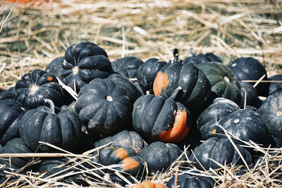 Dark pumpkins