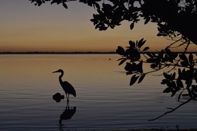 Scenic view of calm lake at sunset