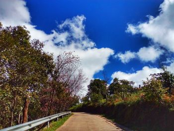 Road amidst trees against sky