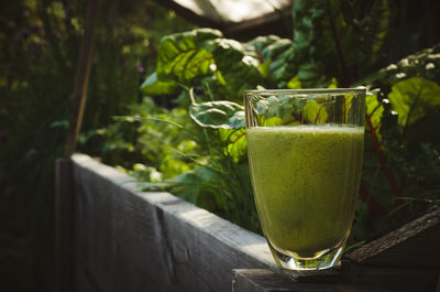 Chard smoothie on wooden fence