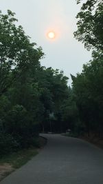 Road amidst trees against sky