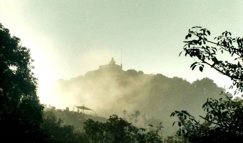 Low angle view of trees against sky