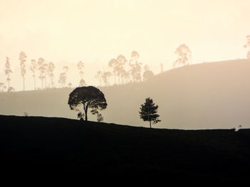 Silhouette trees on field against sky