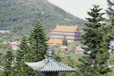 View of greenhouse against trees