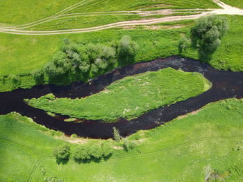 High angle view of grassy field