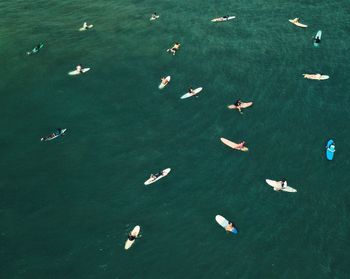 High angle view of people paddleboarding on sea