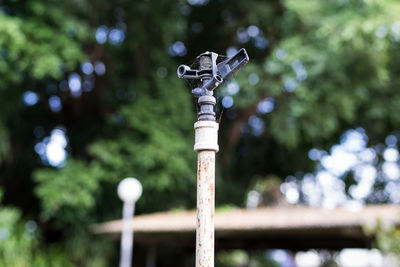 Low angle view of pole against sky in park