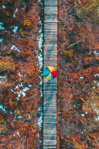 Directly above shot of person with multi colored umbrella on boardwalk