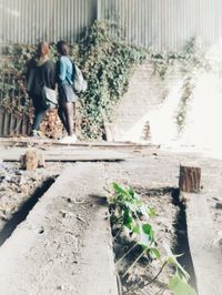 People walking outdoors