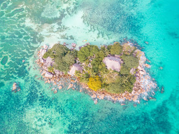 High angle view of coral tropical island praspraslin seychelles 