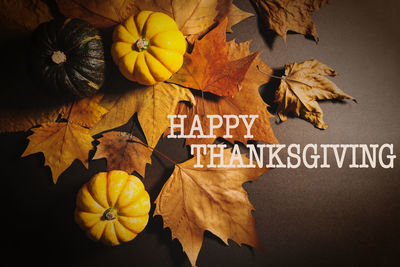 Close-up of yellow maple leaves against sky
