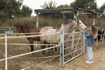 Side view of teenage girl stroking horse at barn