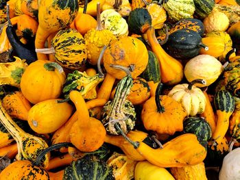 High angle view of pumpkins for sale at market stall