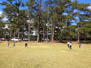 People playing in park