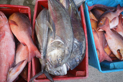 High angle view of fish for sale in market