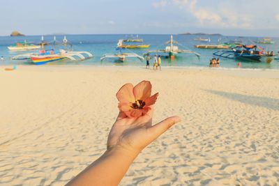 Cropped image of person holding orange flower on sea shore