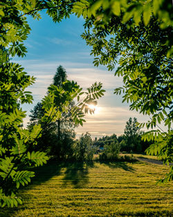 Scenic view of field against sky