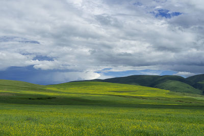 Scenic view of field against sky