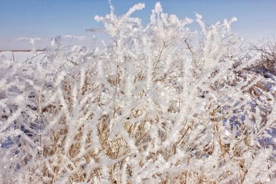 Close-up of snow against sky