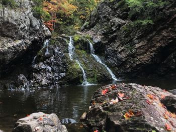 Scenic view of waterfall in forest