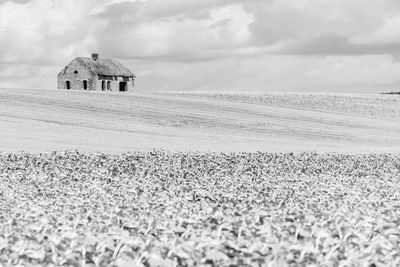 black and white