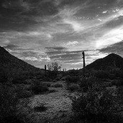 Scenic view of landscape against cloudy sky