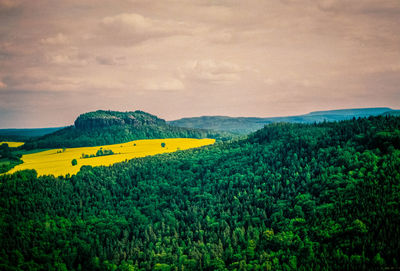 Scenic view of landscape against sky