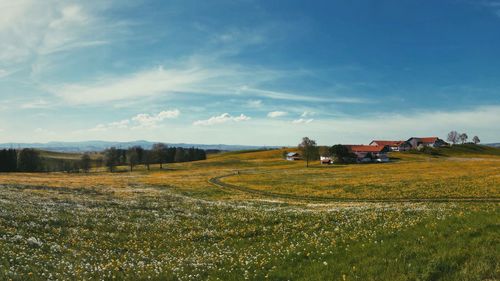 Scenic view of agricultural field against sky