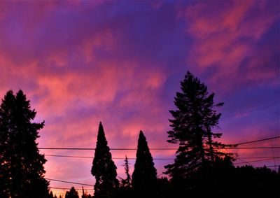 Low angle view of silhouette trees against dramatic sky