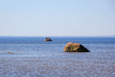 Scenic view of sea against clear sky