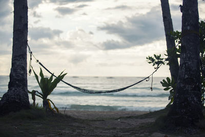 Hammock hanging on trees at beach against sky