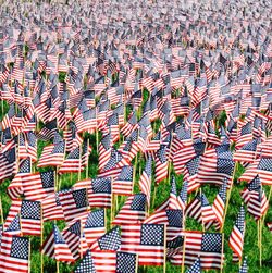 Full frame shot of american flags at cemetery