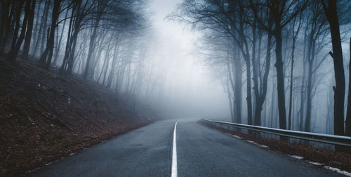 Foggy road to nowhere 