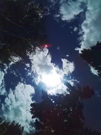 Low angle view of silhouette trees against sky in forest