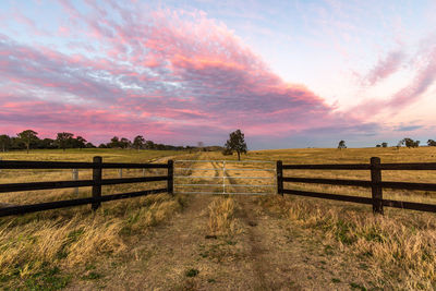 Scenic view of field against sky during sunset