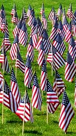 Row of flags against blue sky