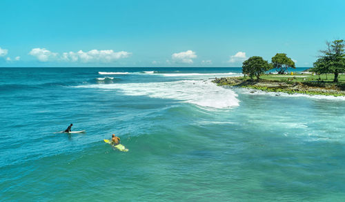 Aerial view the group of surfers chilling out on the beach. los caracas beach, la guaira - venezuela