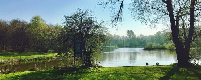 Scenic view of lake amidst trees